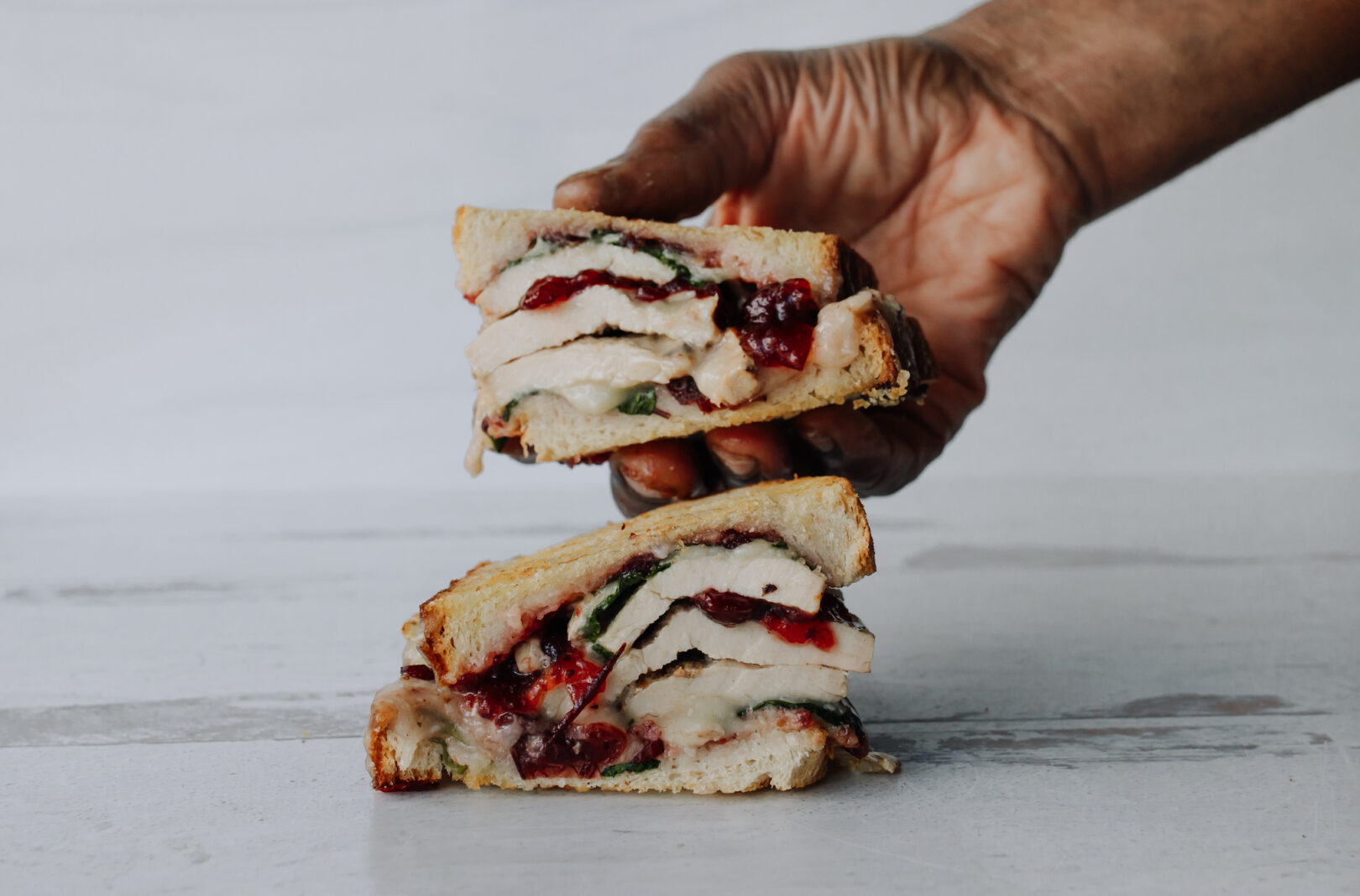 TURKEY & BRIE PANINI WITH CRANBERRY SAUCE