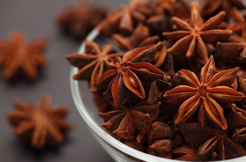 UNDERSTANDING SPICES: STAR ANISE & ANISE SEED