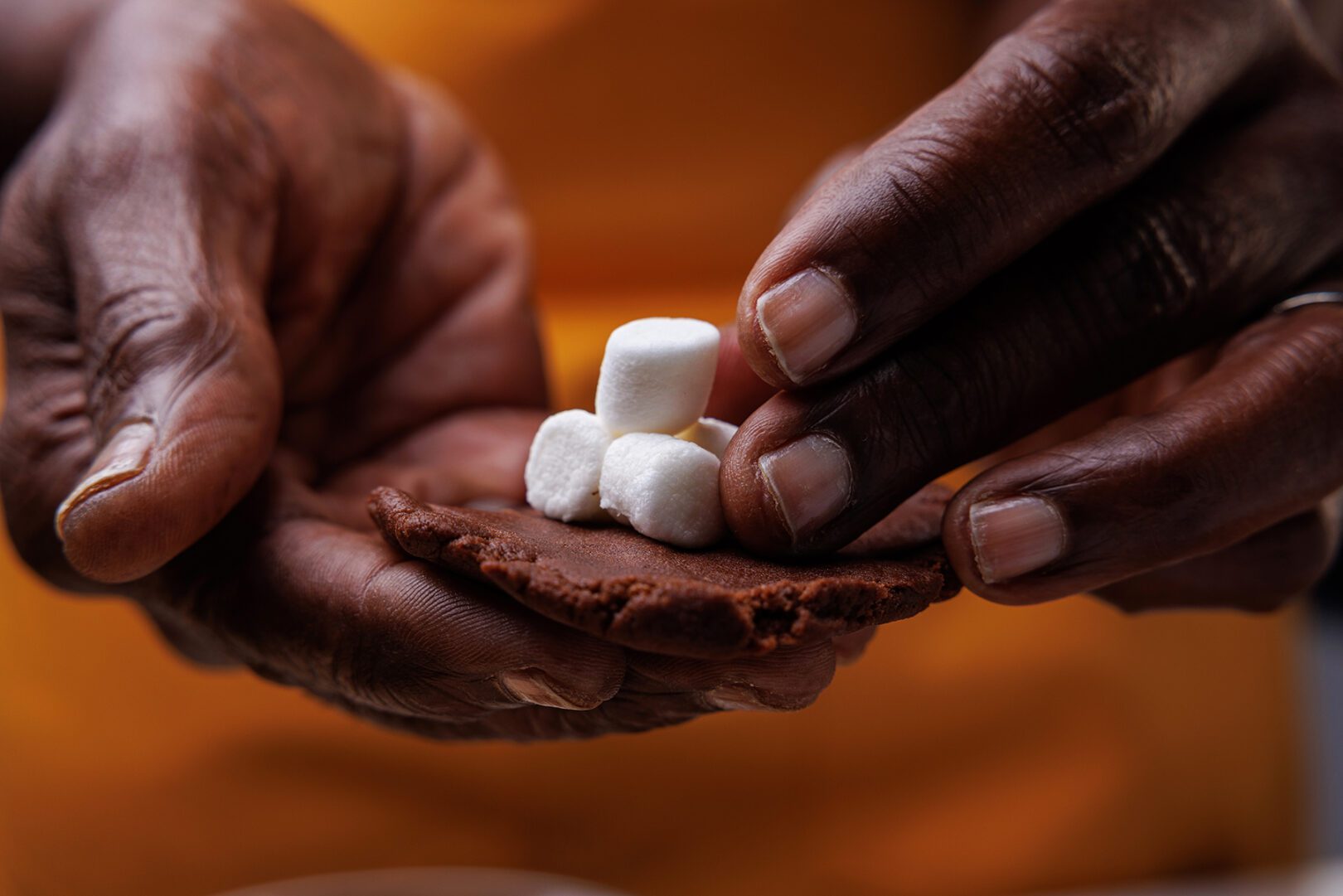 SPICED HOT COCOA COOKIES