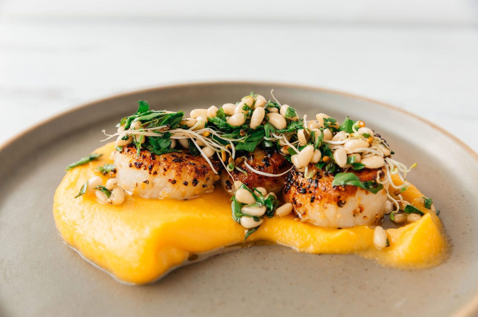 SEARED SCALLOPS WITH BUTTERNUT SQUASH PUREE